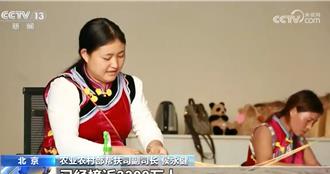 陸落實常態化防止返貧致貧機制   脫貧務工就業總規模近3300萬人