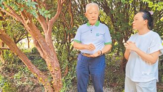 好食好事基金會 食農創生計畫有成