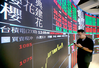 新興市場吸引力強 法人點讚