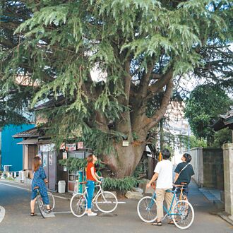 秋日單車逛市集 感受老城區魅力