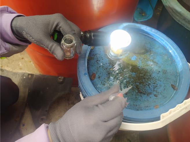 卫生局呼吁，环境落实巡倒清刷、不要有孳生源是防治登革热的关键。（卫生局提供／曹婷婷台南传真）
