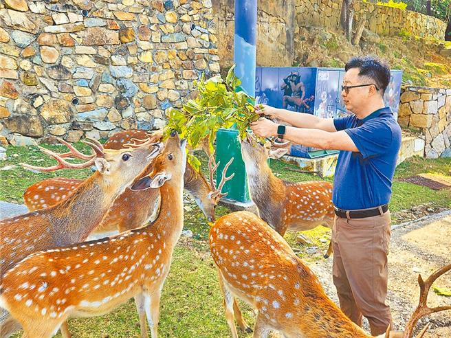 海基会16日倡议赠送大陆福州动物园一对梅花鹿，命名为「和和」、「平平」，寓意两岸「和平之鹿」。（陈冠宇摄）