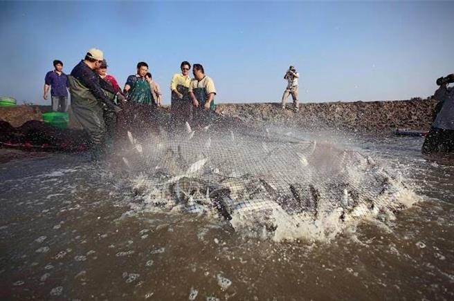 网友发现，日本人评价虱目鱼的美味程度仅2颗星，引起讨论。（示意图／民眾提供／宝智华台南传真）