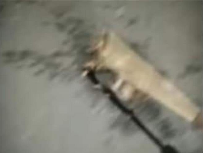 屏東縣傳出2名學生虐貓事件。（翻攝臉書爆料公社／羅琦文屏東傳真）