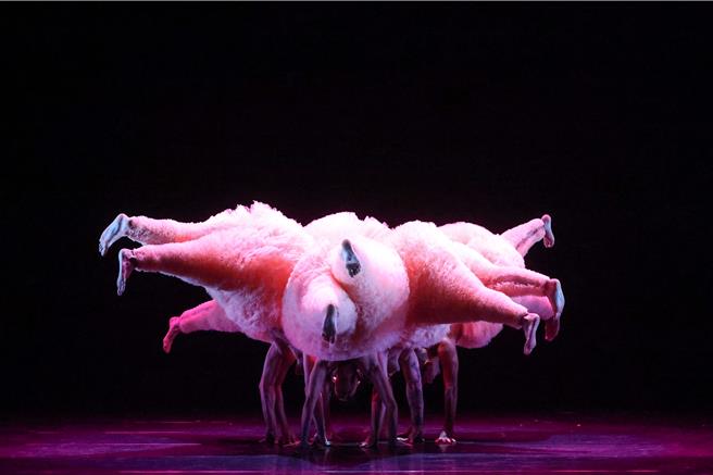 中國信託新舞臺藝術節在今年這個邁入第十年的時刻，為台灣喜愛表演藝術的觀眾準備了一份特別獻禮，首度邀請受到國際藝文媒體一致好評的曼波男孩舞團來台演出《蓬蓬》，以突破性別框架的男舞者芭蕾，傳遞只要願意打破刻板印象的侷限，所有的不可能都將轉化成可能的積極信念，用充滿想像空間的表現方式展現戲劇張力。（鄧博仁攝）