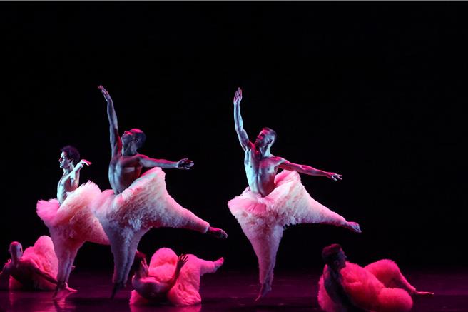 中國信託新舞臺藝術節在今年這個邁入第十年的時刻，為台灣喜愛表演藝術的觀眾準備了一份特別獻禮，首度邀請受到國際藝文媒體一致好評的曼波男孩舞團來台演出《蓬蓬》，以突破性別框架的男舞者芭蕾，傳遞只要願意打破刻板印象的侷限，所有的不可能都將轉化成可能的積極信念，用充滿想像空間的表現方式展現戲劇張力。（鄧博仁攝）