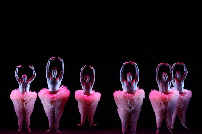 中國信託新舞臺藝術節在今年這個邁入第十年的時刻，為台灣喜愛表演藝術的觀眾準備了一份特別獻禮，首度邀請受到國際藝文媒體一致好評的曼波男孩舞團來台演出《蓬蓬》，以突破性別框架的男舞者芭蕾，傳遞只要願意打破刻板印象的侷限，所有的不可能都將轉化成可能的積極信念，用充滿想像空間的表現方式展現戲劇張力。（鄧博仁攝）