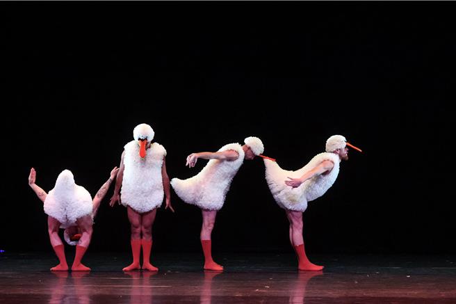 中國信託新舞臺藝術節在今年這個邁入第十年的時刻，為台灣喜愛表演藝術的觀眾準備了一份特別獻禮，首度邀請受到國際藝文媒體一致好評的曼波男孩舞團來台演出《蓬蓬》，以突破性別框架的男舞者芭蕾，傳遞只要願意打破刻板印象的侷限，所有的不可能都將轉化成可能的積極信念，用充滿想像空間的表現方式展現戲劇張力。（鄧博仁攝）