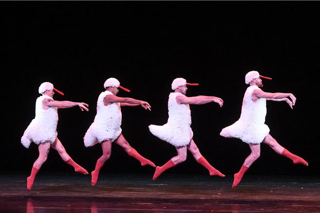 中國信託新舞臺藝術節在今年這個邁入第十年的時刻，為台灣喜愛表演藝術的觀眾準備了一份特別獻禮，首度邀請受到國際藝文媒體一致好評的曼波男孩舞團來台演出《蓬蓬》，以突破性別框架的男舞者芭蕾，傳遞只要願意打破刻板印象的侷限，所有的不可能都將轉化成可能的積極信念，用充滿想像空間的表現方式展現戲劇張力。（鄧博仁攝）