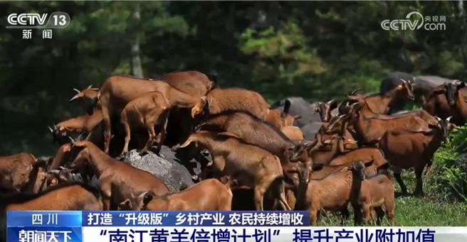 陆数据会说话！见证脱贫攻坚成果。（大陆央视）