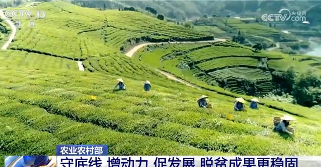 陆落实常态化防止返贫致贫机制，脱贫务工就业总规模近3300万人。（大陆央视）