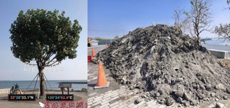 高雄「國瑜樹」成廢土堆置場！議員揪心喊：要抹掉韓國瑜生活痕跡？