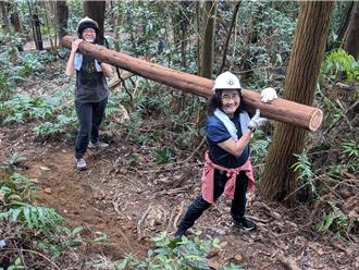 浮根上构筑天然阶梯 台中横岭山手作步道营造无痕山林