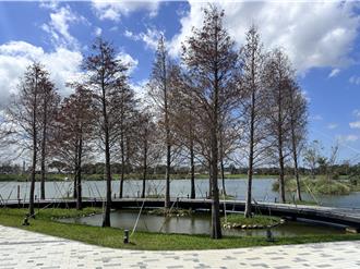 桃園華興池公園今啟用 5.7萬平方米水域打造都市休閒生活感