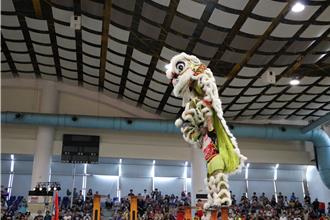 泰山獅王文化節慶祝建巖270周年 獅王爭霸賽激烈廝殺