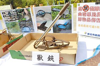 北北基桃聯手掃蕩獸鋏鳥網