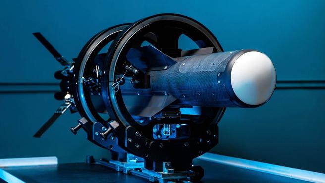  「郊狼」系列採用滯空攻擊彈藥概念設計，被認為可搭載電戰干擾系統，反制無人機飽和攻擊。（取自RTX網站）