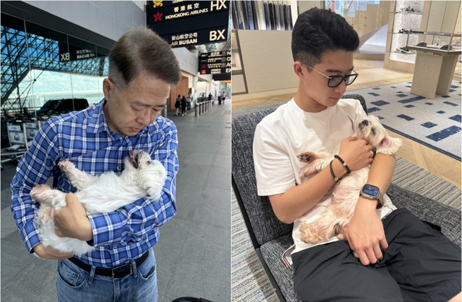 崔佩儀老公、兒子對「妹妹」相當疼愛，父子一回台灣就關心愛犬的身體狀況。（圖／崔佩儀臉書）