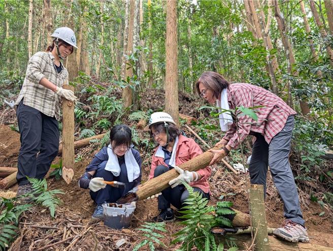 橫嶺山步道約300公尺的浮根步道，整理成札實、友善山友行走的「土木階梯步道」。（林業署台中分署提供／張妍溱台中傳真）