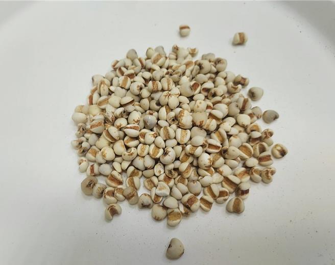 薏苡仁有利水滲溼的功能。（新營醫院提供／張毓翎台南傳真）