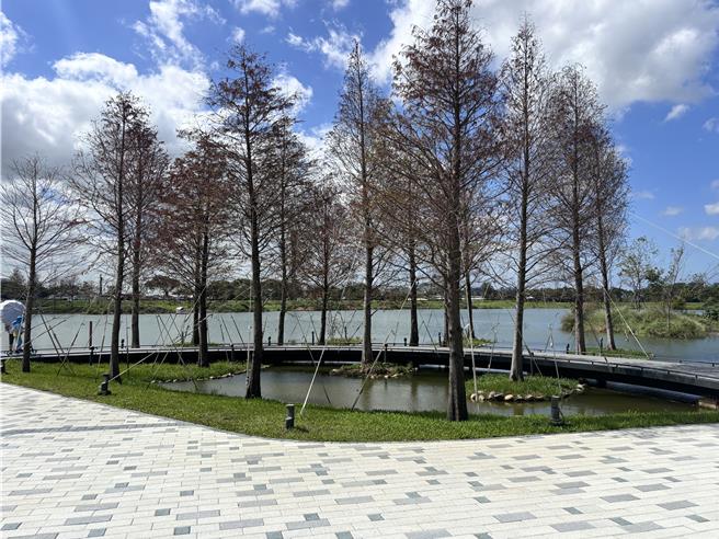 桃园大园区华兴池公园19日开园启用，规画休閒绿地与生态环境，为不同年龄层的孩子提供结合自然与灯光设计的创意游戏空间。（廖姮玥摄）