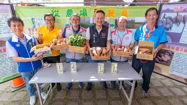 桃園市大園區甘藷評鑑暨推廣行銷活動今登場，桃園甘藷的種植面積達73.63公頃，其中有25.6％來自大園區，大園區因其獨特的氣候與土質條件，使甘藷品質卓越、產量穩定，今年甘藷產量更達434公噸。（桃市府提供／廖姮玥桃園傳真）