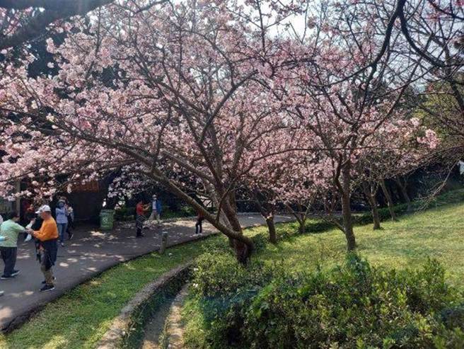 陽明山國家公園在今年1到8月旅遊人次奪冠。（台北市公園處提供／李奇叡台北傳真）