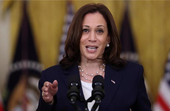 民主党由现任美国副总统贺锦丽出战。（路透）