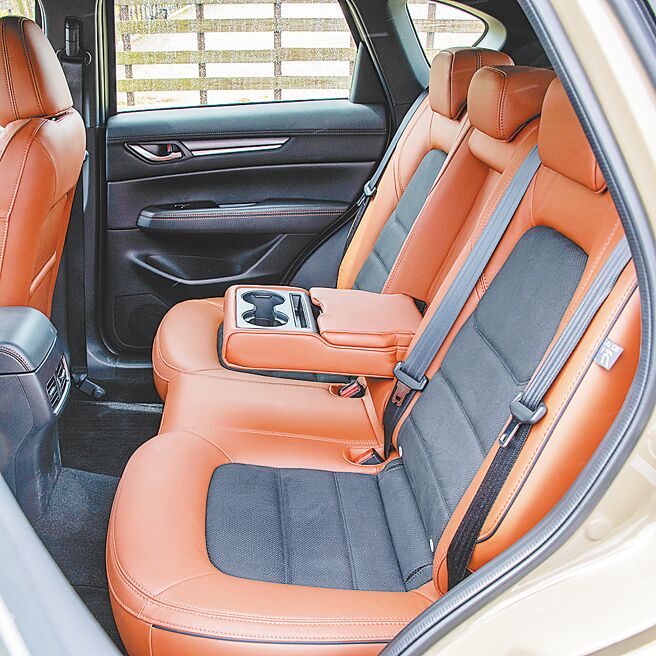 后座中央扶手附置杯架。（陈大任摄）