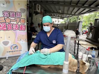 源頭減量！花蓮推動寵物絕育 無主浪浪也可以
