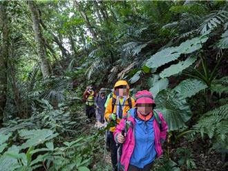 石門水庫登山縱走遭蜂群攻擊 9人團遭叮5人送醫