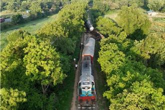 斯里兰卡火车撞大象群 两只大象死亡