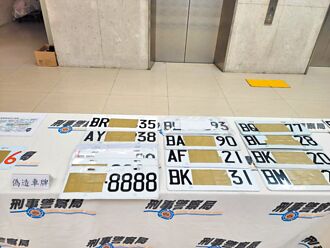 假车牌成治安漏洞「为何不重罚」爆共鸣 这些人出手了