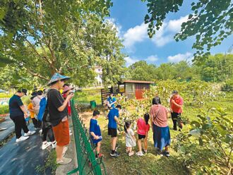 新故鄉願景》無毒蔬菜自己種 共餐長者知足