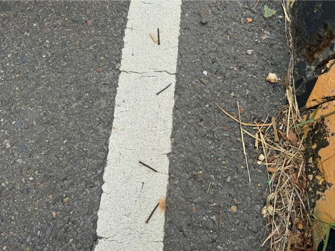 沿海路邊有零星生鏽鐵釘。（洪靖宜攝）