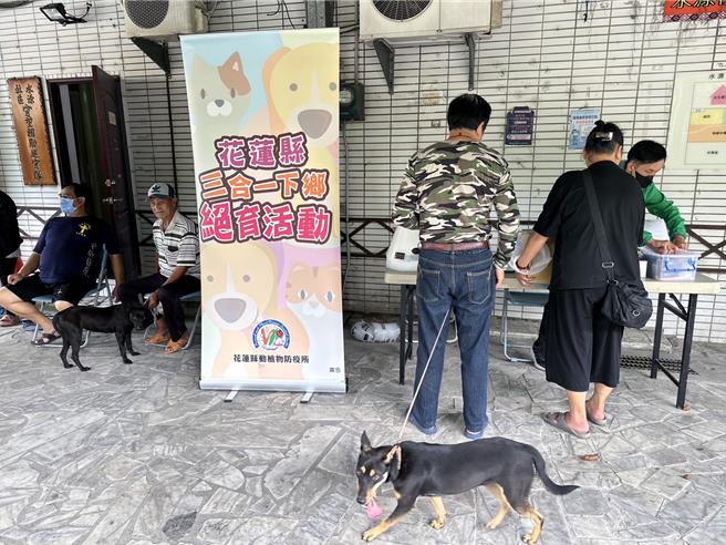  花蓮縣政府今年將幸福犬貓三合一計畫對象擴及無主流浪貓犬，希望透過免費絕育，降低動物繁殖機會，掌握流浪動物的數量。（花蓮縣政府提供／羅亦晽花蓮傳真）