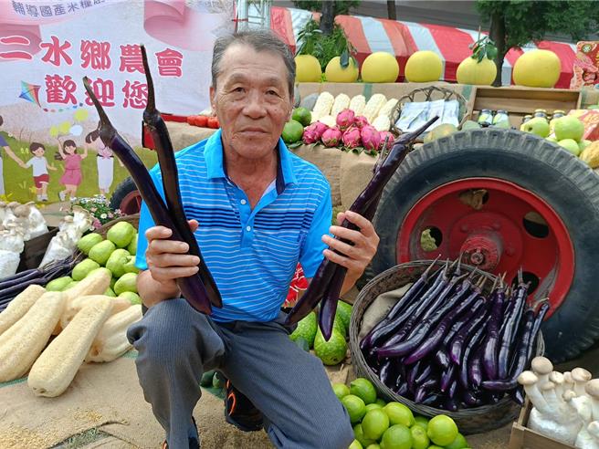 曾成伯種植茄子已有40多年，他表示，今年麻糬茄受颱風、高溫影響，產量減少1／3。（葉靜美攝）