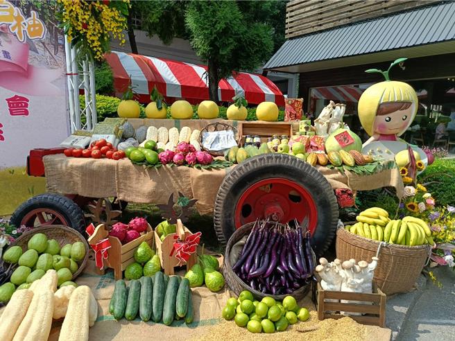 二水鄉農產豐富，茄子、白柚種植面積為彰化縣第一。（葉靜美攝）