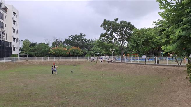 台南市東區竹篙厝寵物公園活化滯洪池成為寵物跑跳的空間。（程炳璋攝）