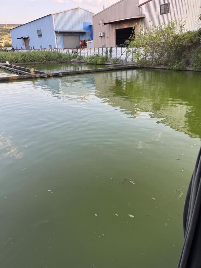 台中市清水区20日下午惊传男子溺水，杨姓男子坠落于中华路附近鱼池中，送医抢救后仍不治。（台中市消防局提供／张妍溱台中传真）