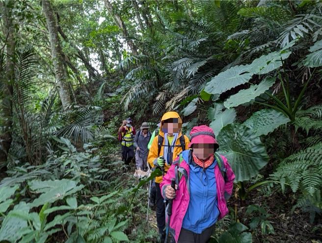 登山團石門水庫仙島部落縱走遭蜂群攻擊，消防局救援5人送醫。(桃市消防局提供／呂筱蟬桃園傳真)