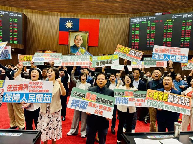 翁曉玲(前左2)與國民黨立院黨團齊心對抗民進黨政府濫提釋憲的做法。（示意圖／取自翁曉玲臉書）