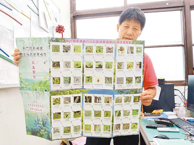 內立社區總幹事溫文正手持生態調查成果撲克牌摺頁。（邱立雅攝）