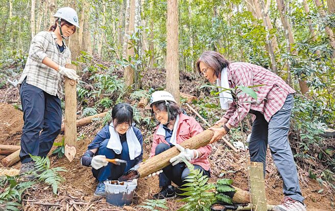 林业及自然保育署台中分署19日指出，志工就地取材运用现地材料，为解决步道上树根裸露的问题，以友善环境工法处理，打造成自然、安全且平缓之步道。（林业署台中分署提供／张妍溱台中传真）