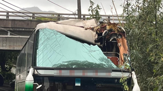 海洋大學校外田野調查 遊覽車撞路樹車頭破大洞