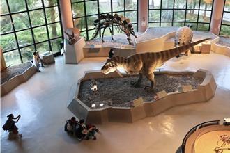 台中科博館汰換空調暫關部分展廳 全館優惠價50元