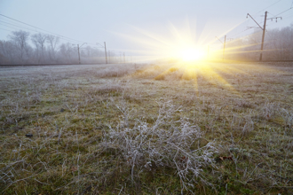 周三「霜降」禁忌曝！4生肖留意健康 進補重養陰 