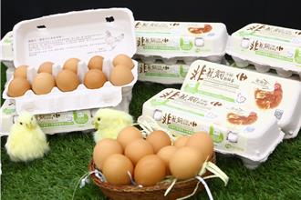 蛋價跌跌不休 茂生農經：年底前有望回穩