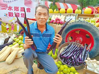 白柚茄子產量彰化第一 二水鄉推廣助農民行銷