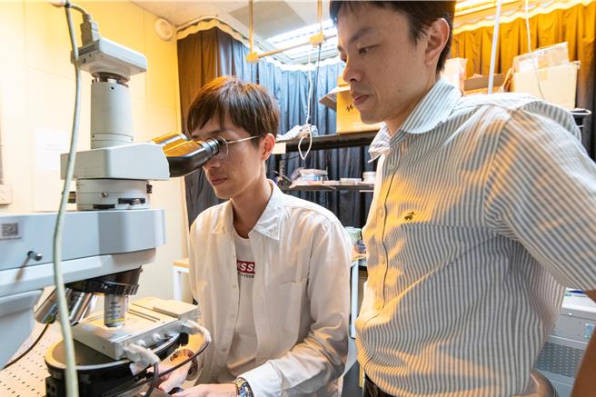 中山大學光電工程學系講座教授林宗賢（右）主導的跨國研究，開發全新「反向電致形變」技術，大幅提升傳統光子晶體生長技術速度。（中山大學提供／郭良傑高雄傳真）